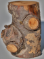 Preview: Fotoliner Holz Unikat