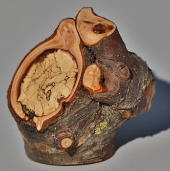 Fotoliner Holz Unikat