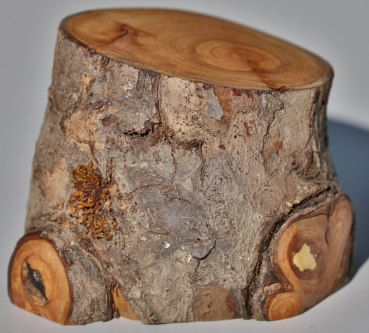 Fotoliner Holz Unikat