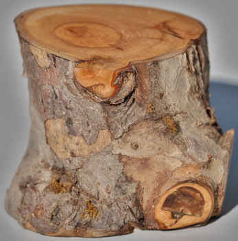 Fotoliner Holz Unikat
