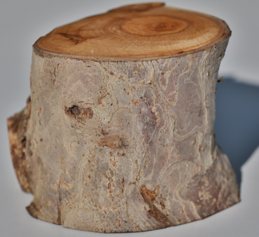 Fotoliner Holz Unikat