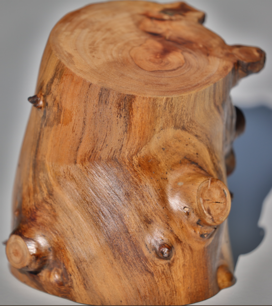 Fotoliner Holz Unikat