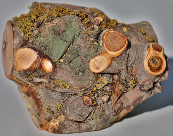 Fotoliner Holz Unikat