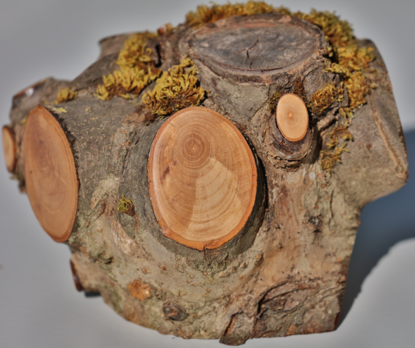 Fotoliner Holz Unikat