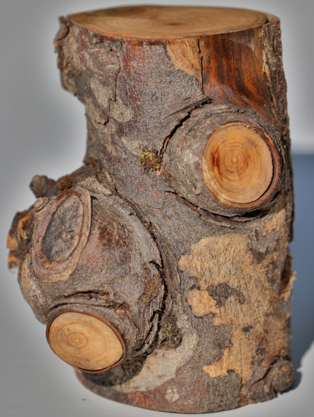 Fotoliner Holz Unikat