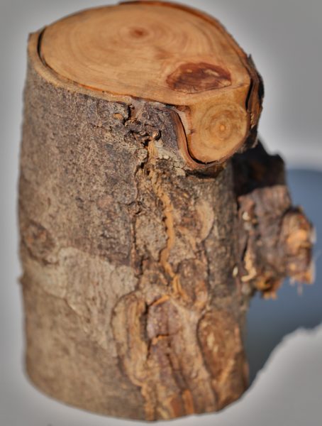 Fotoliner Holz Unikat