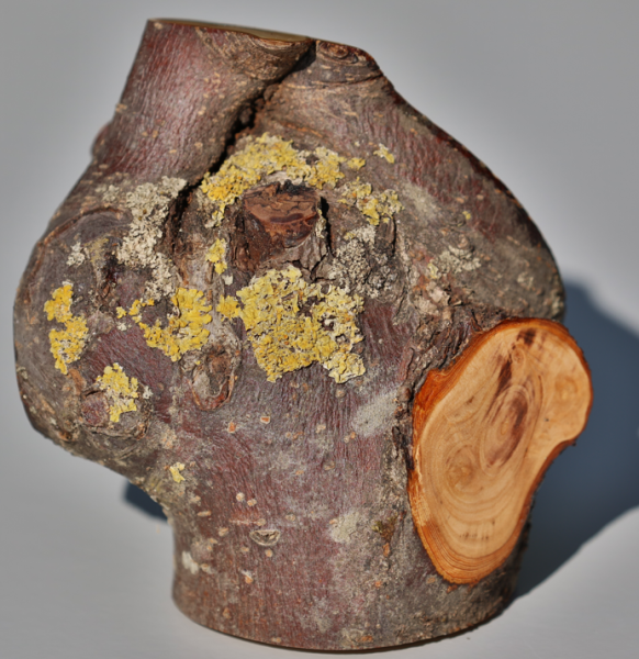 Fotoliner Holz Unikat