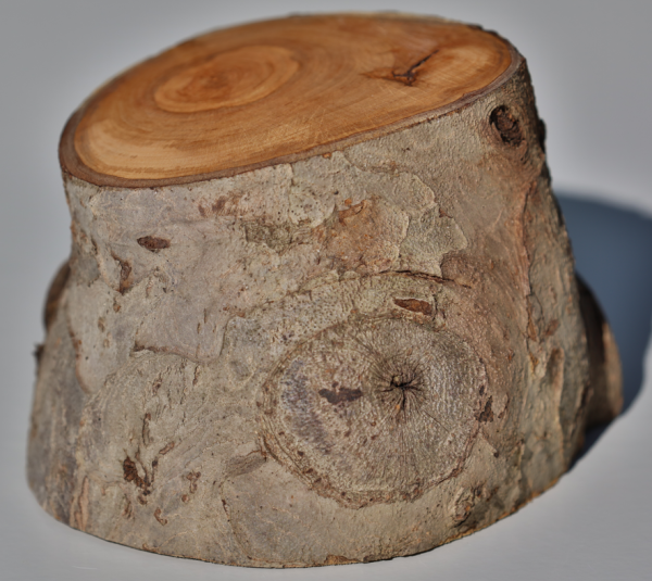 Fotoliner Holz Unikat